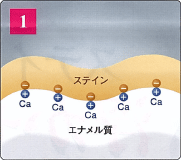 ステイン沈着